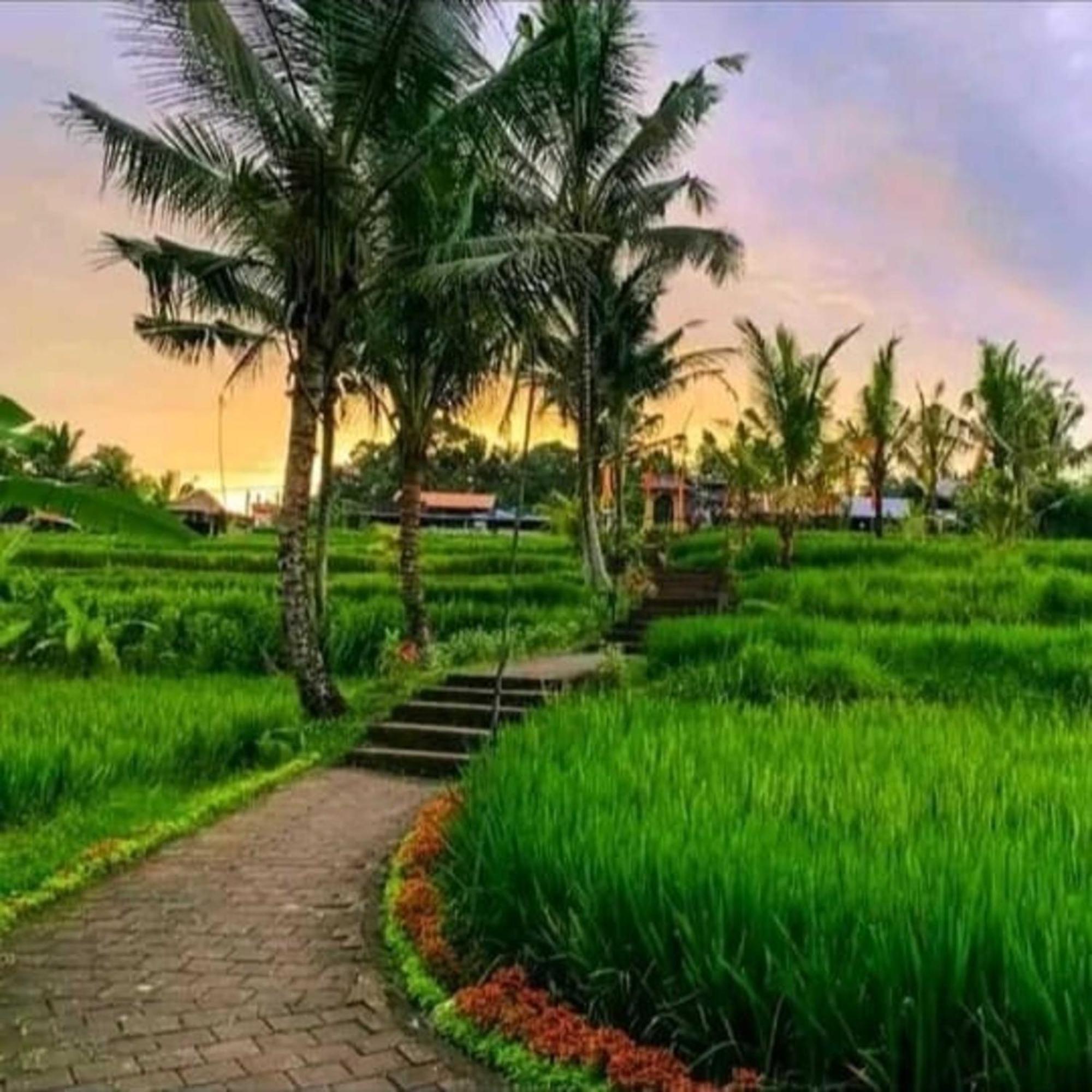 Pondok Kungkang Villa 2 乌布 外观 照片